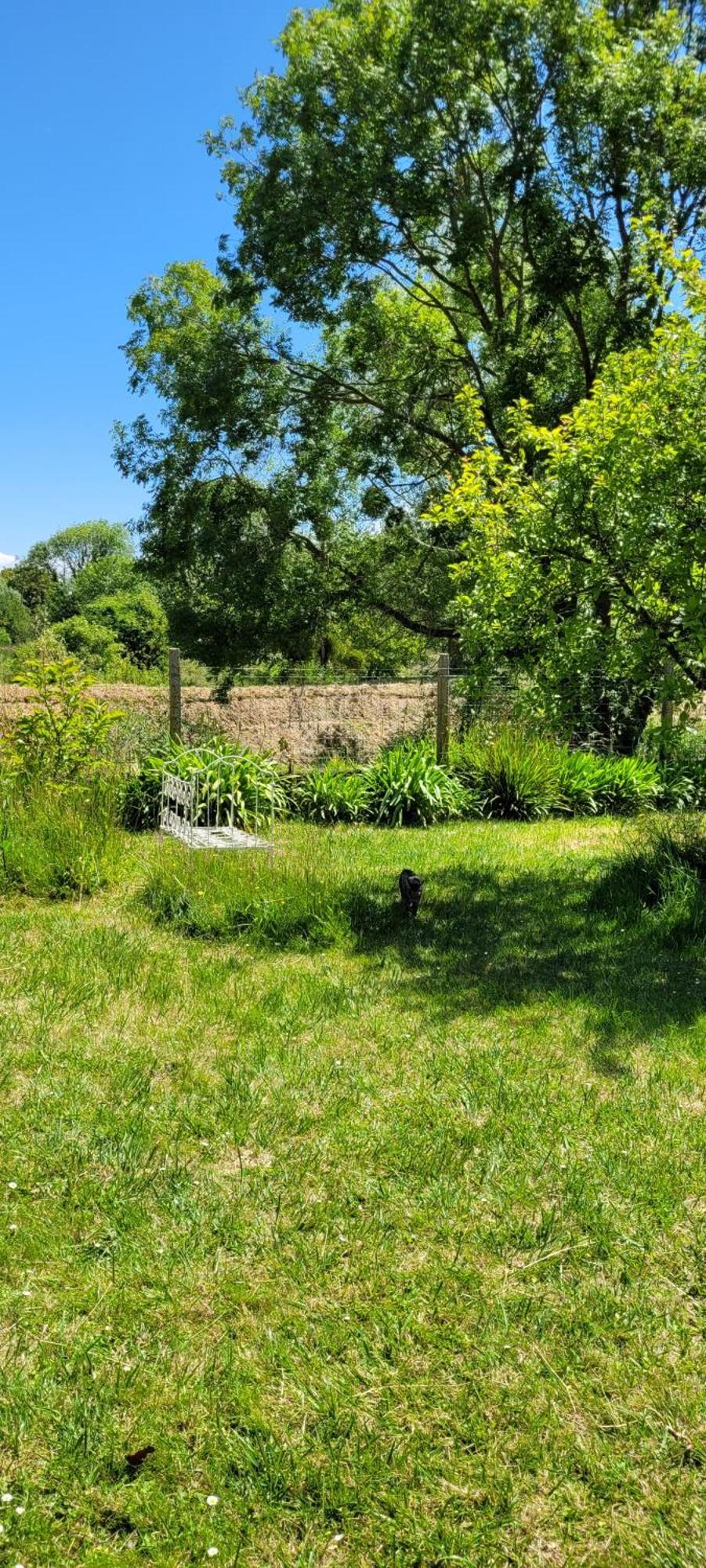 Bed and Breakfast Parenthese Le Vivier-sur-Mer Exterior foto